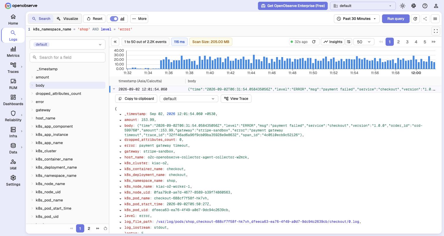 An expanded log row after the pipeline: parsed fields such as level, amount and error, with the View Trace button